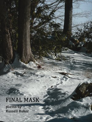 cover image of Final Mask